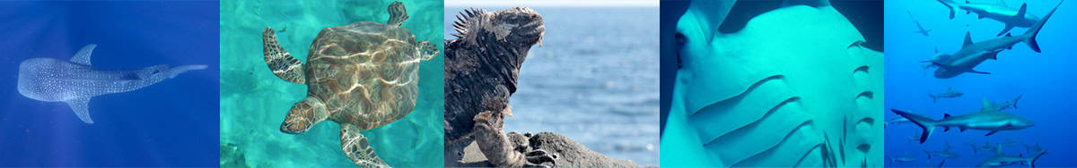 View Neville & Catherine's gallery