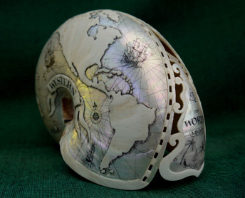 Neville's nautilus scrimshaw