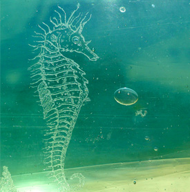 Neville's etching on an antique glass float